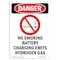Signmission OSHA Danger Sign, No Smoking Battery, 10in X 7in Rigid Plastic, 7" W, 10" L, Portrait OS-DS-P-710-V-1483 - alternate 1